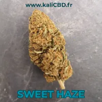 Sweet Haze