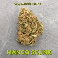 Mango Skunk